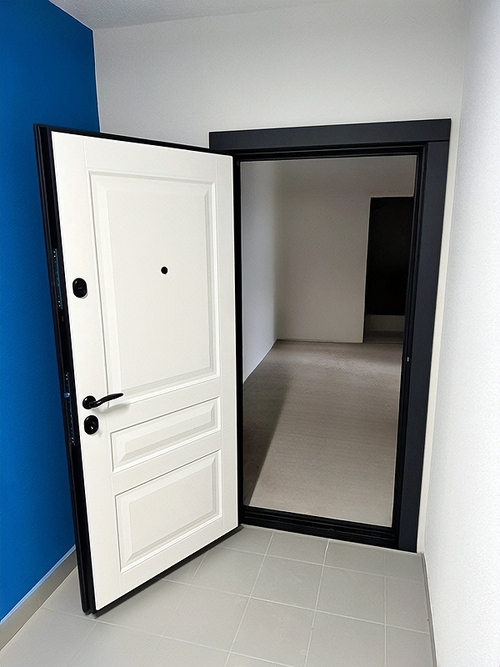 Квартирная дверь с МДФ Квартирная дверь с МДФ